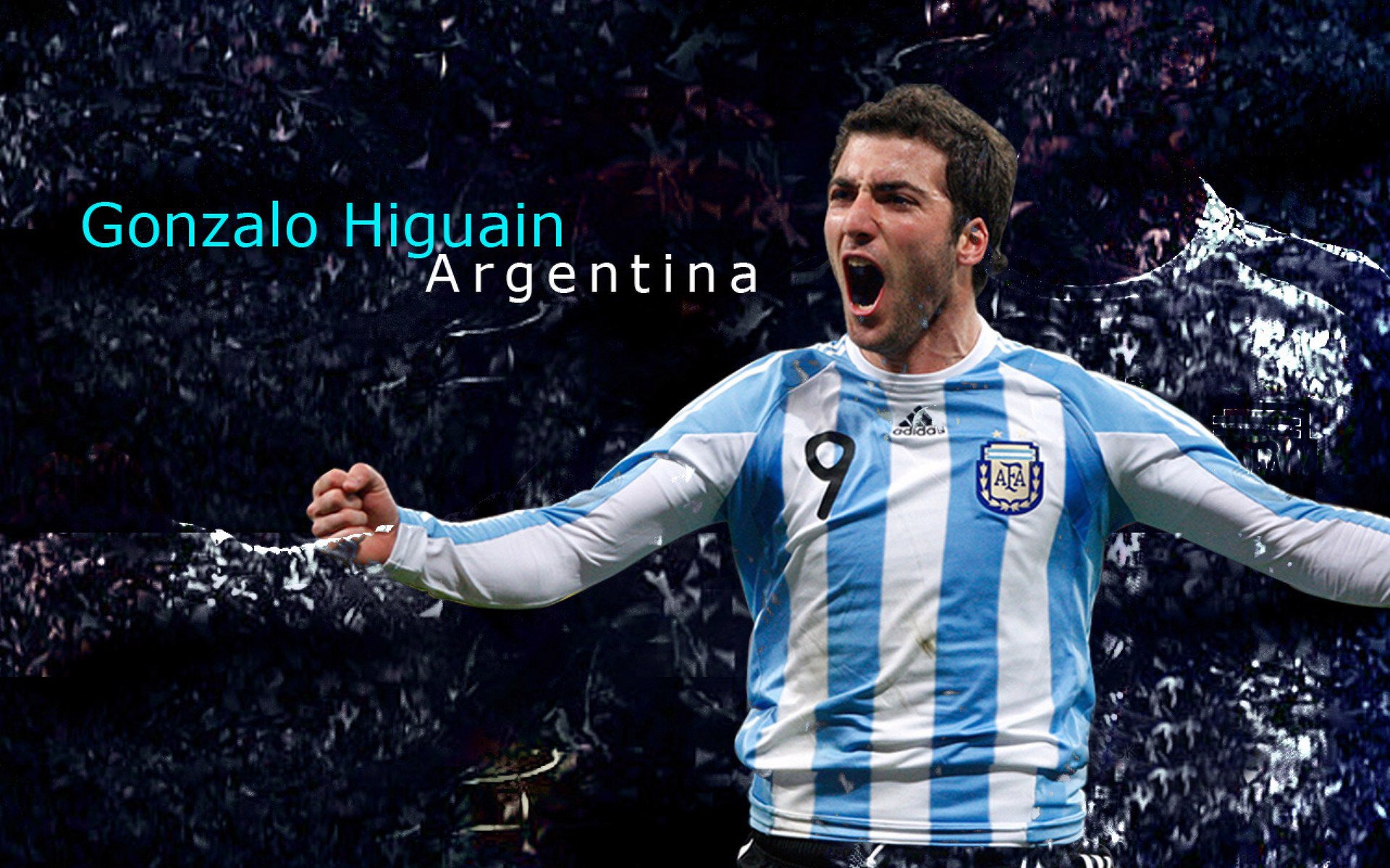 澳网男单：澳大利亚猛将再获冠军，实力不容小觑！，澳网 男单冠军